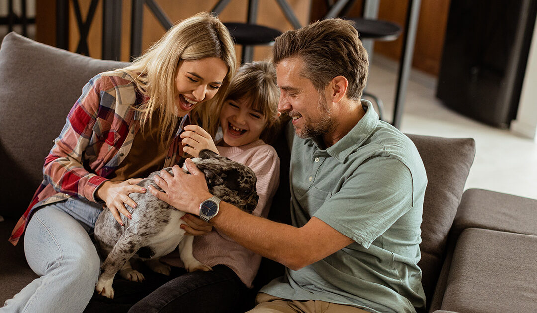 Let Your Voice Hold the Memory